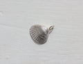 seashell pendant
